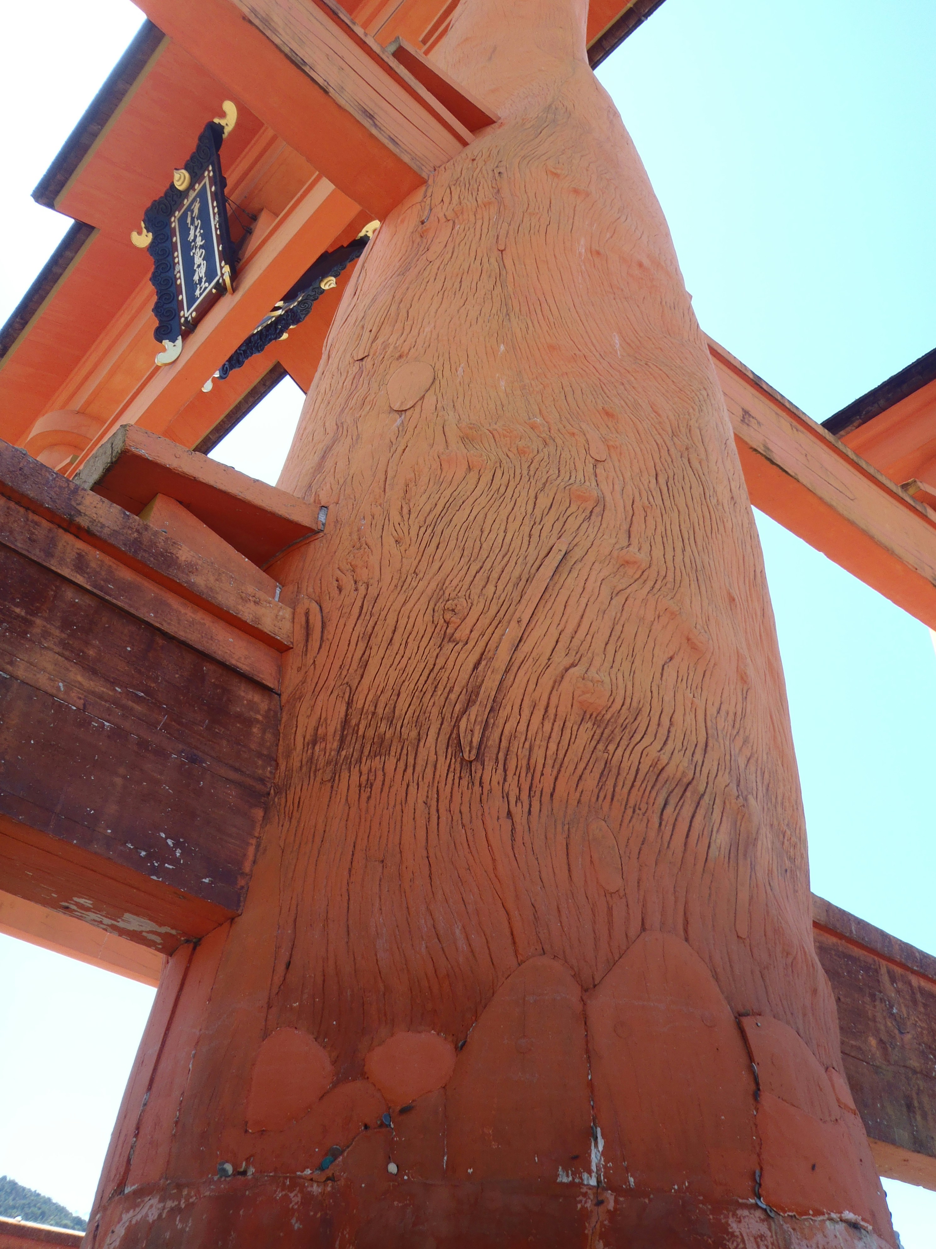 Free Unsplash photo from Scarper Montgomery