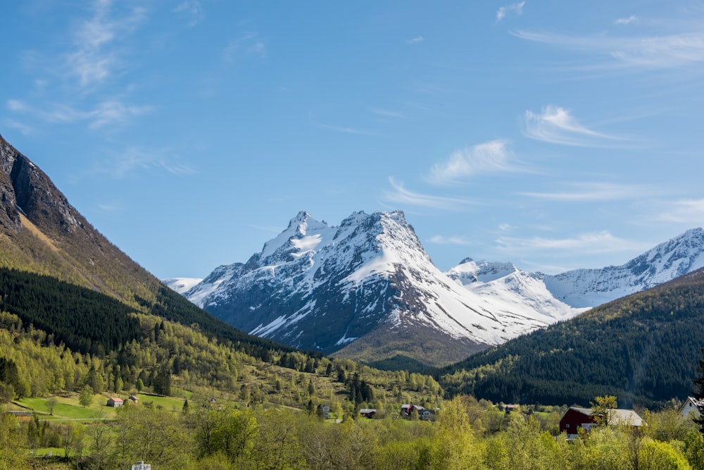 green trees near snowy mountain under blue sky