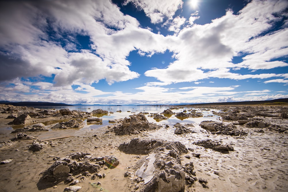 white sky above landscape