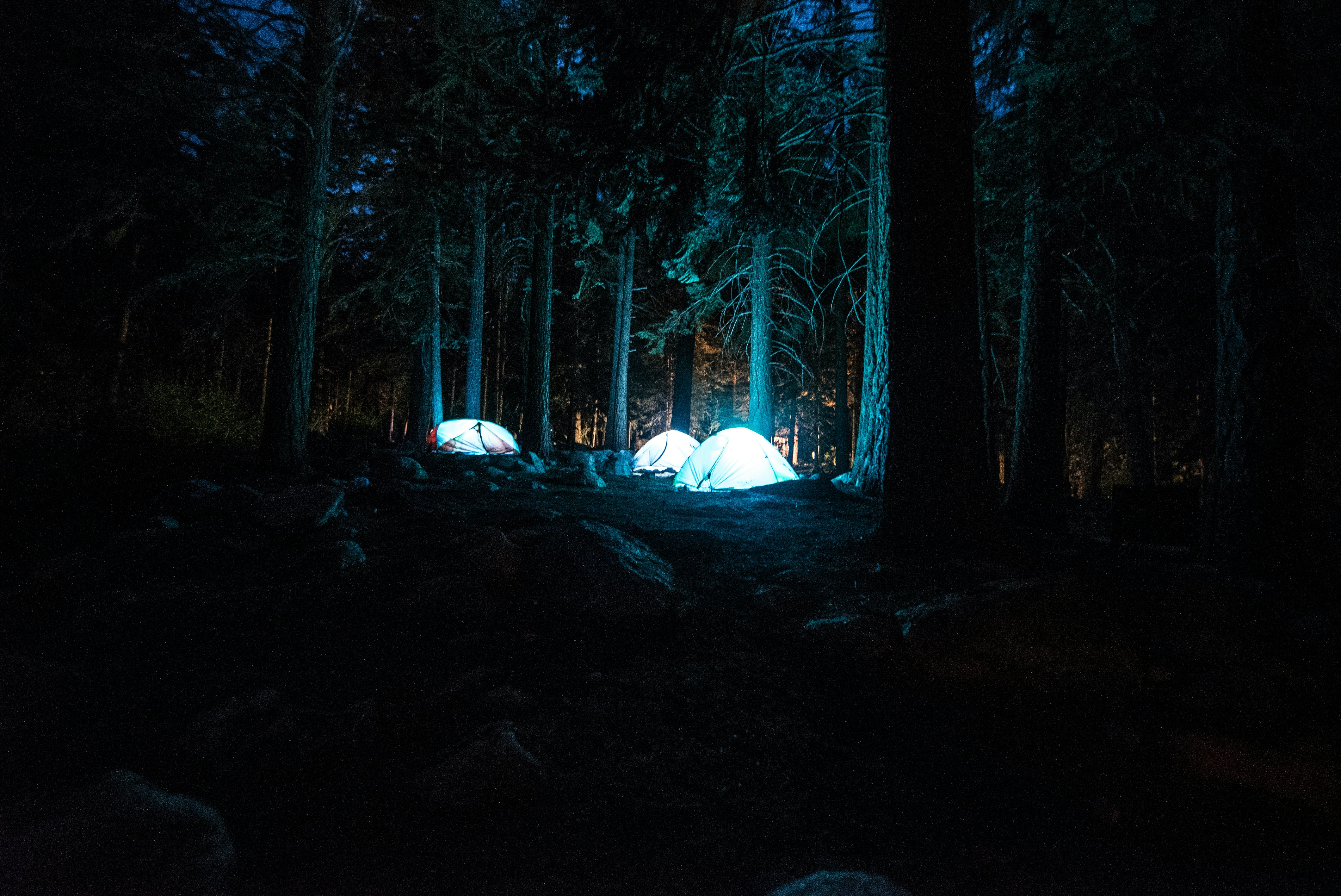 three dome tents with light between forest