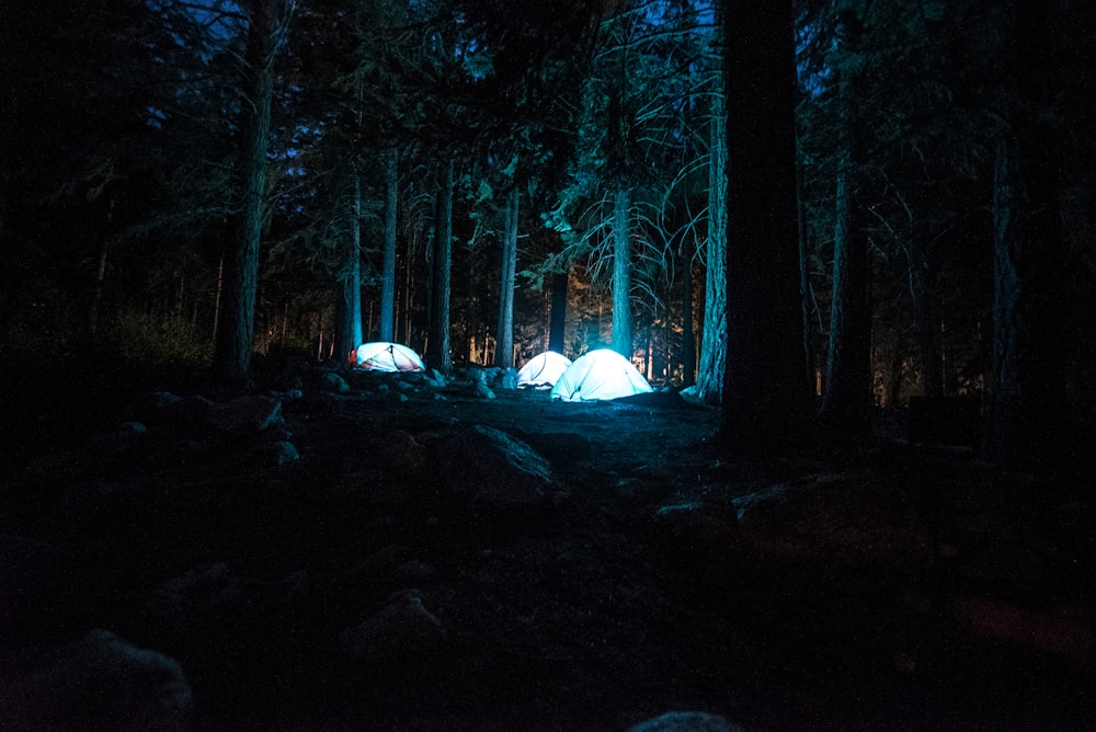 tre tende a cupola con luce tra la foresta