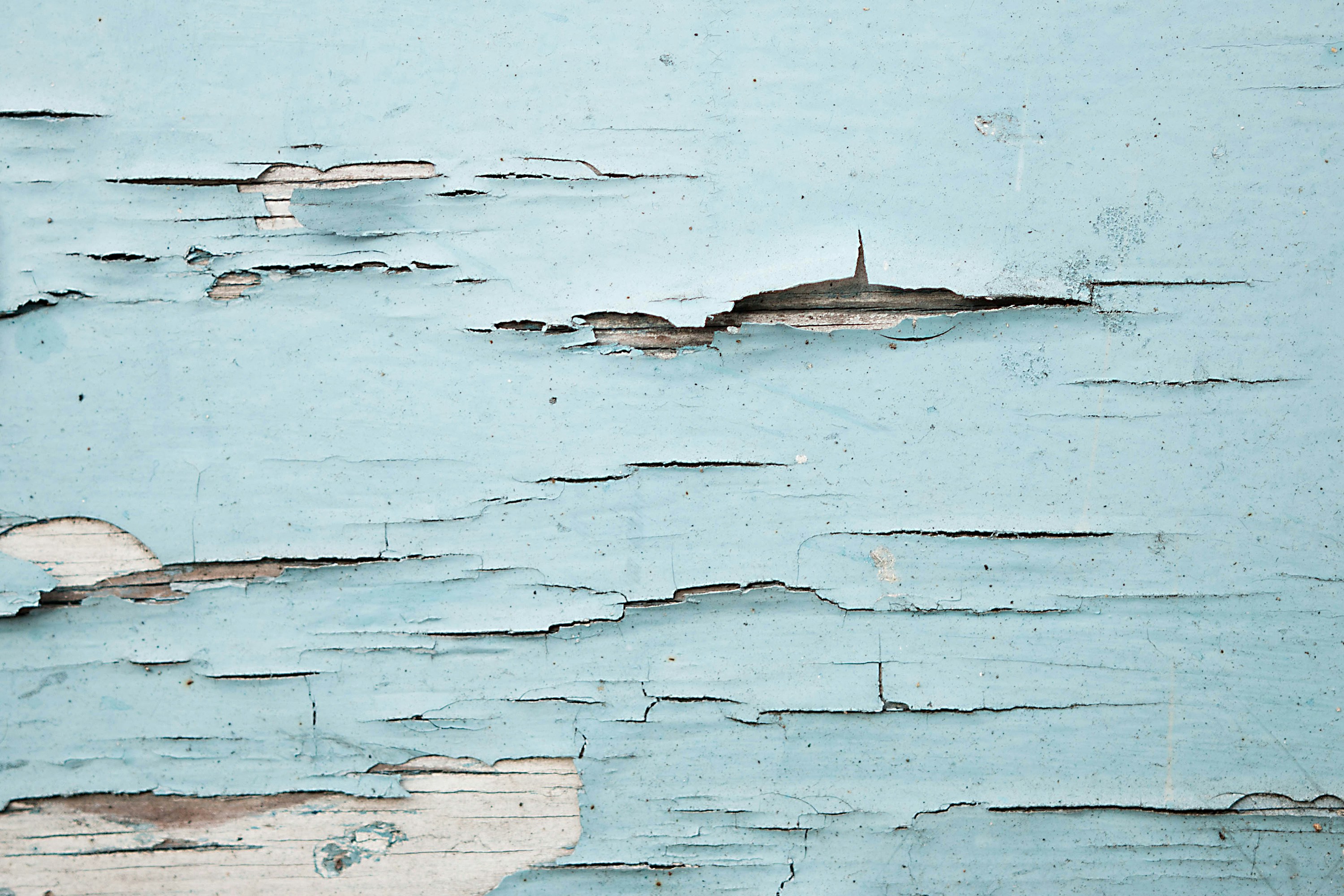 Free Unsplash photo from Dustin Lee