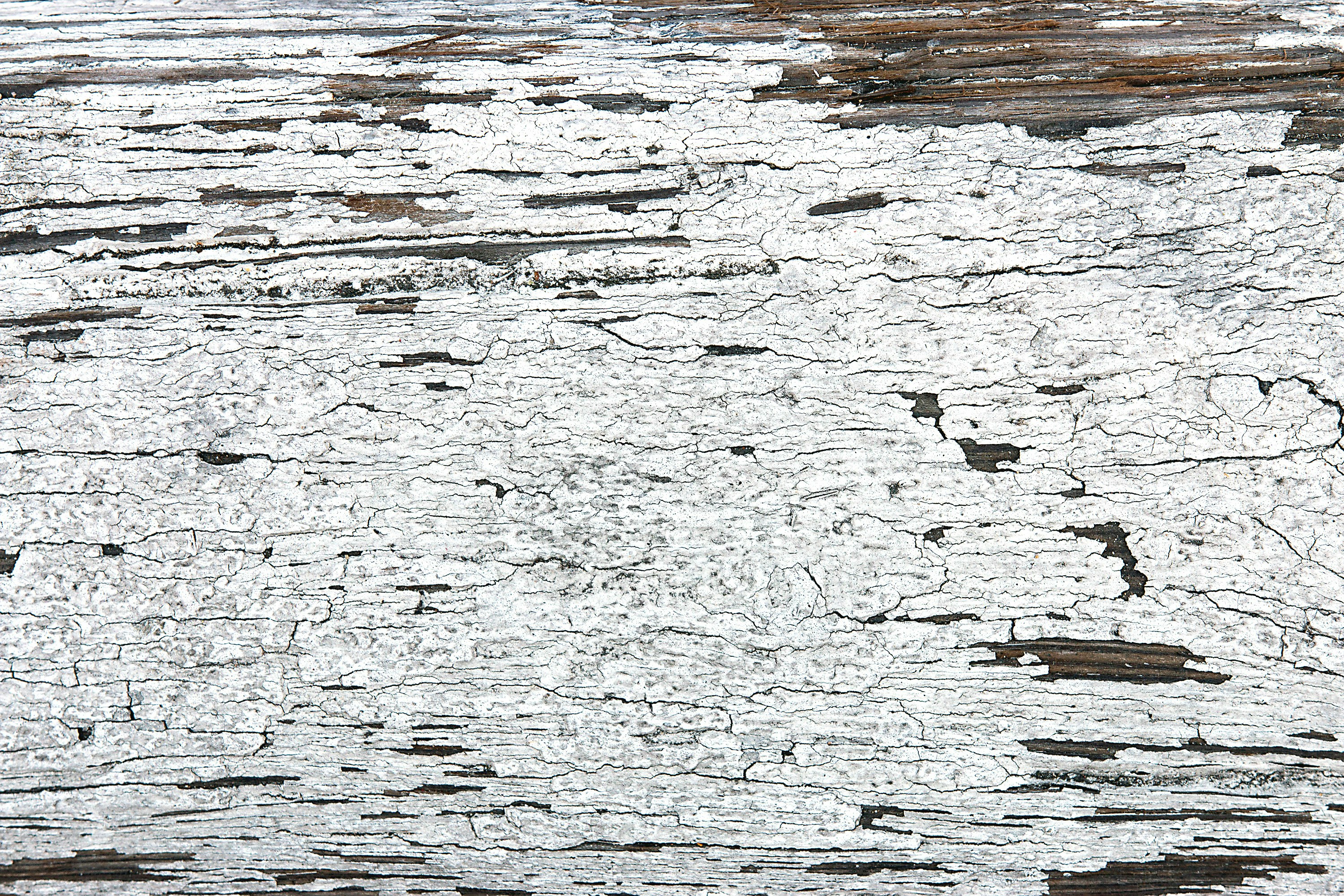 Free Unsplash photo from Dustin Lee