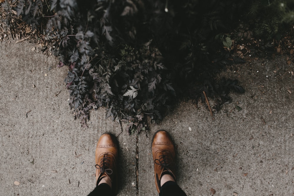 person wearing brown leather dress shoes