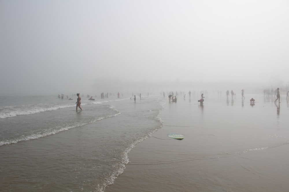 people near seashore during daytime