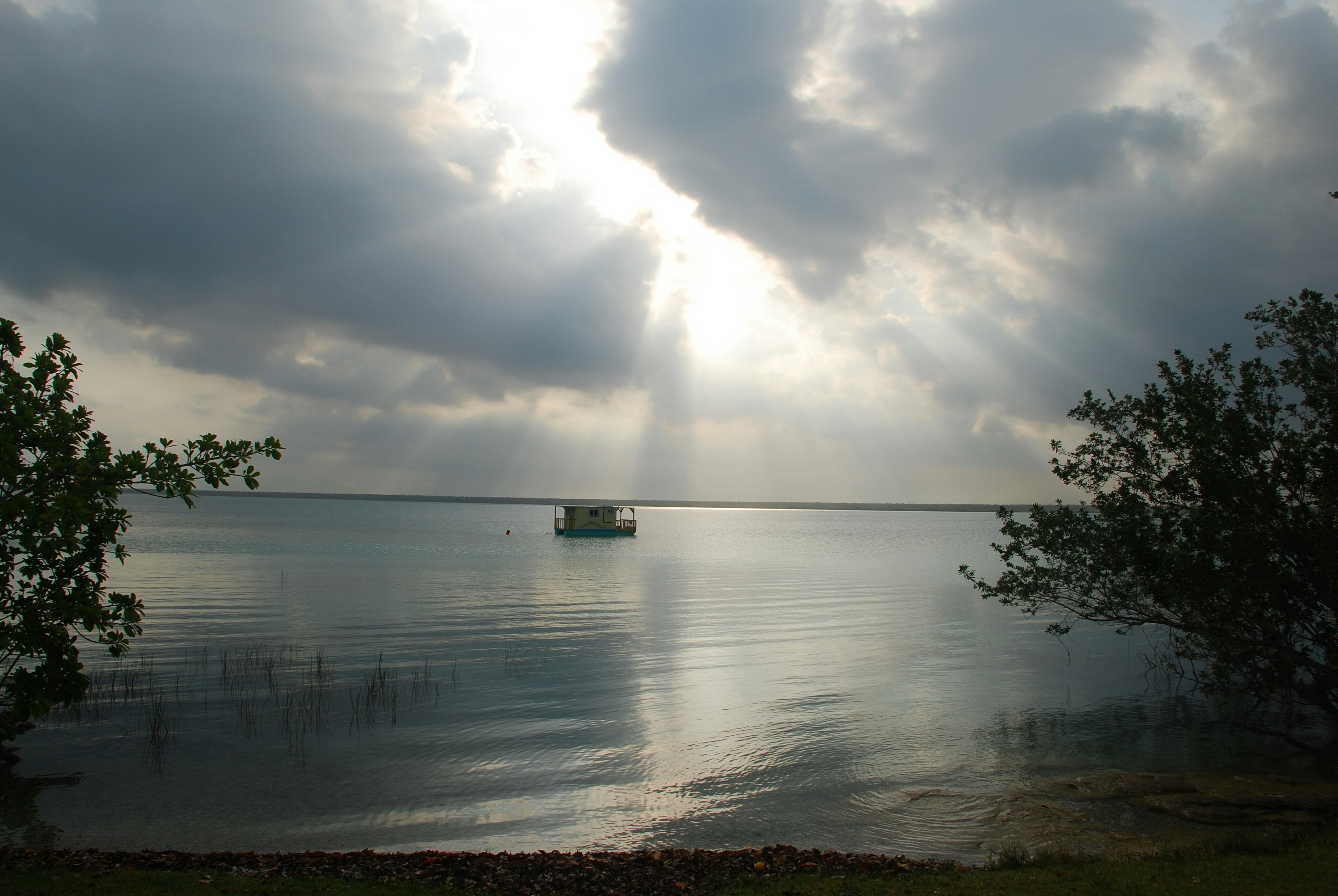 Free Unsplash photo from Shot Castañeda