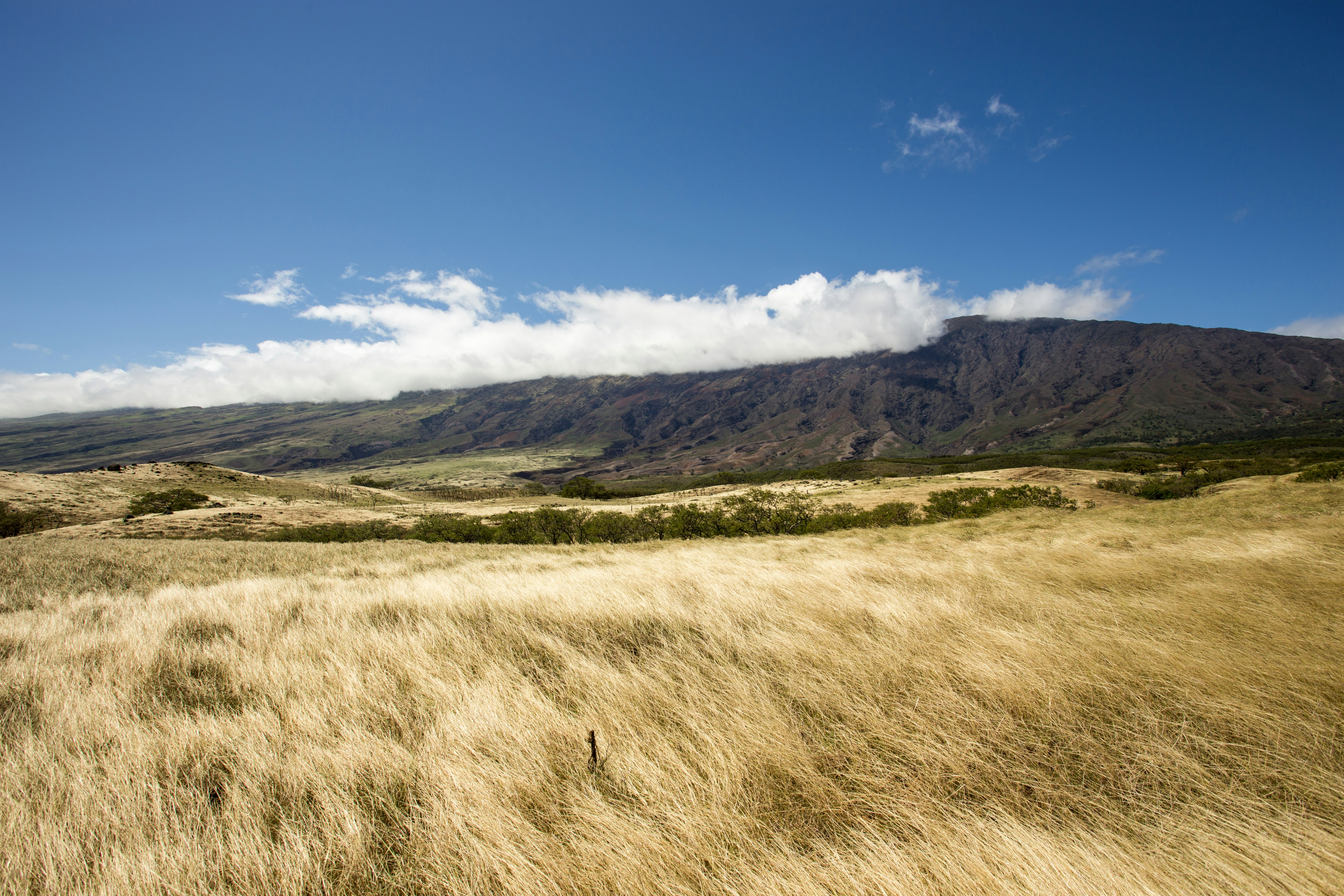 landscape photo of brown grass field and mountain under blue saky