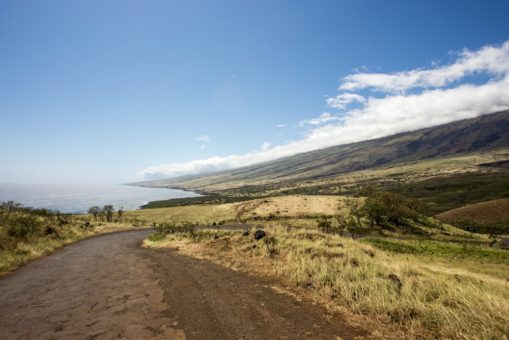 sand road near green grass field under clear blue and white sky