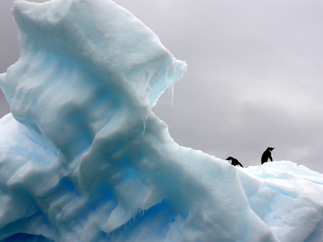 two penguins standing on top of glacier