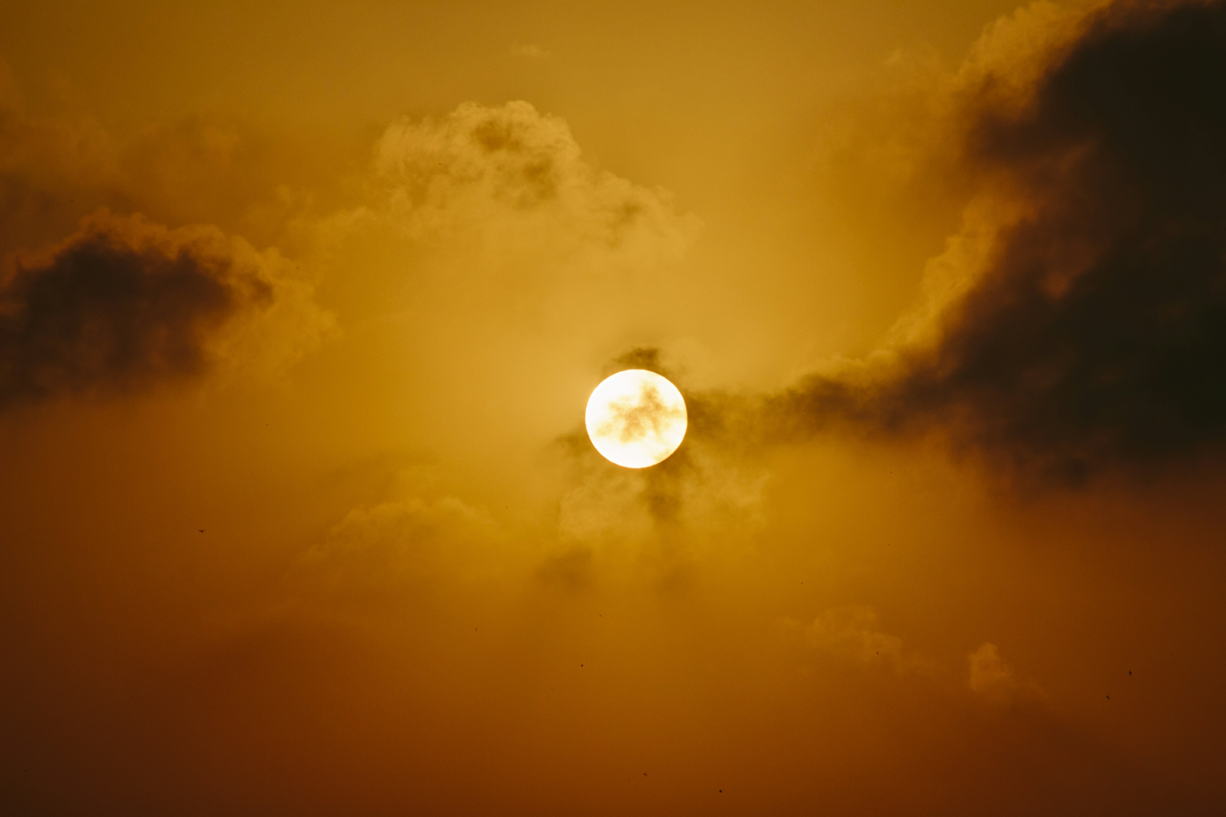 Free Unsplash photo from Wael Labrinssi