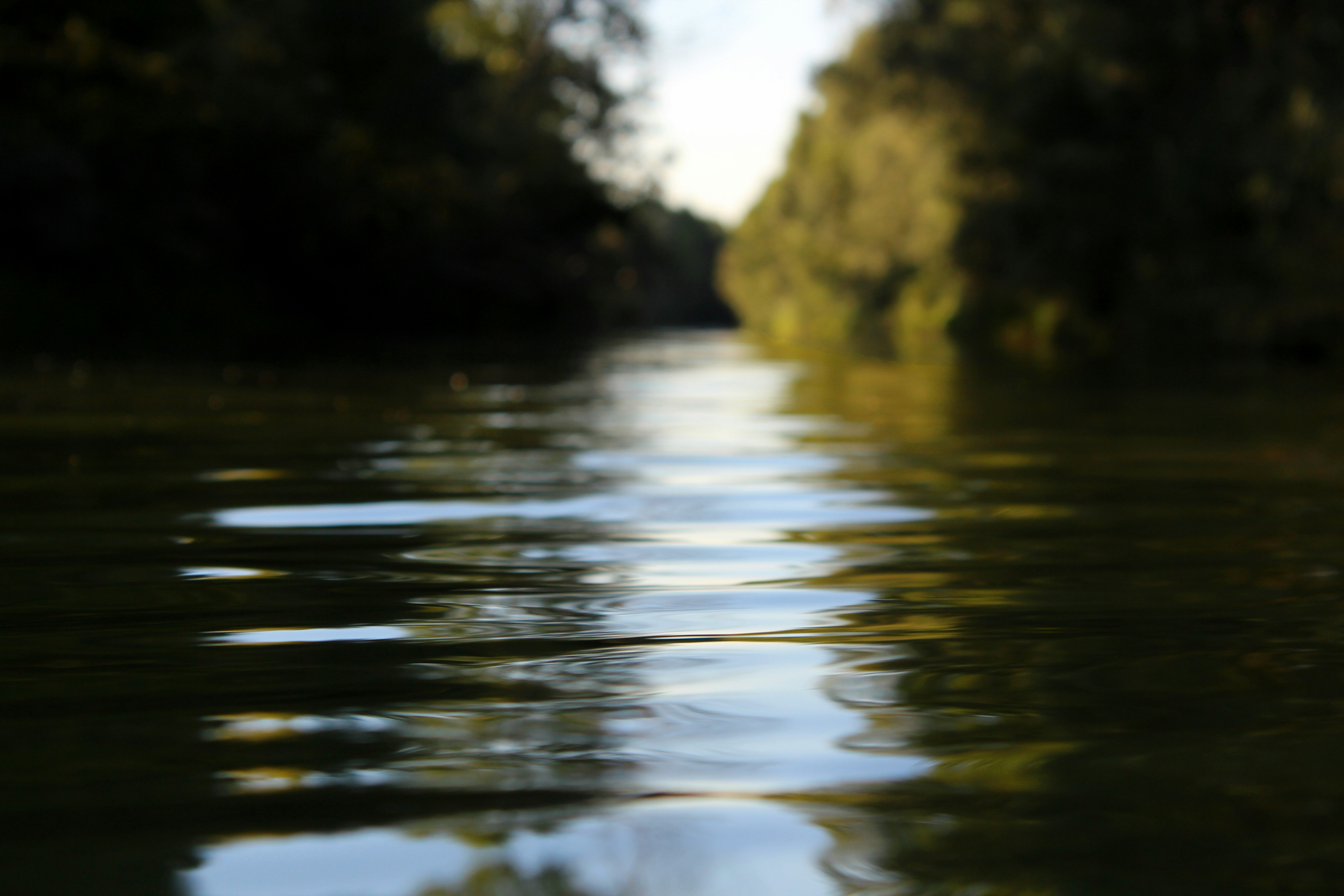 Free Unsplash photo from Marco Lilli