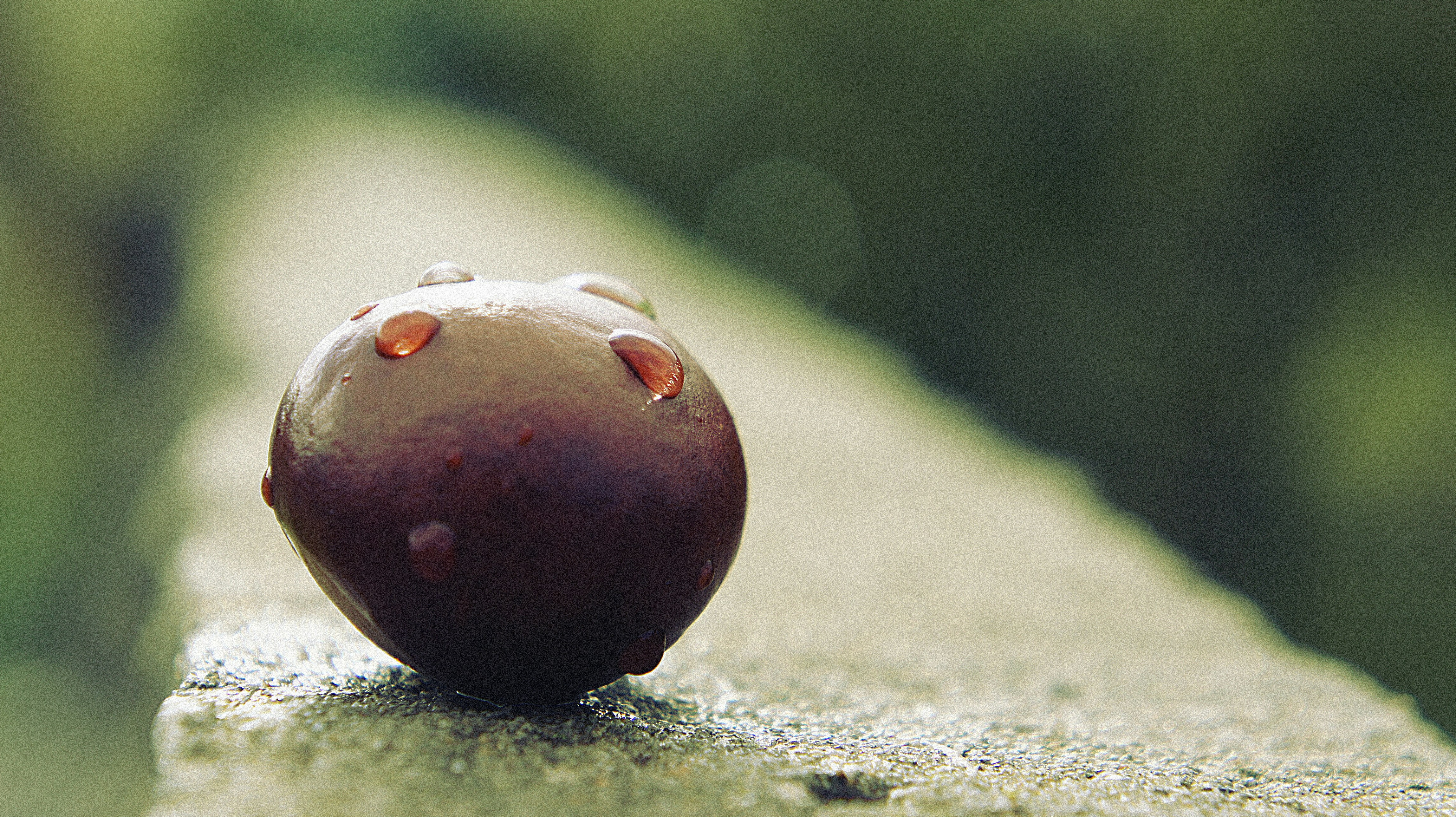 Free Unsplash photo from Boriskin Vladislav