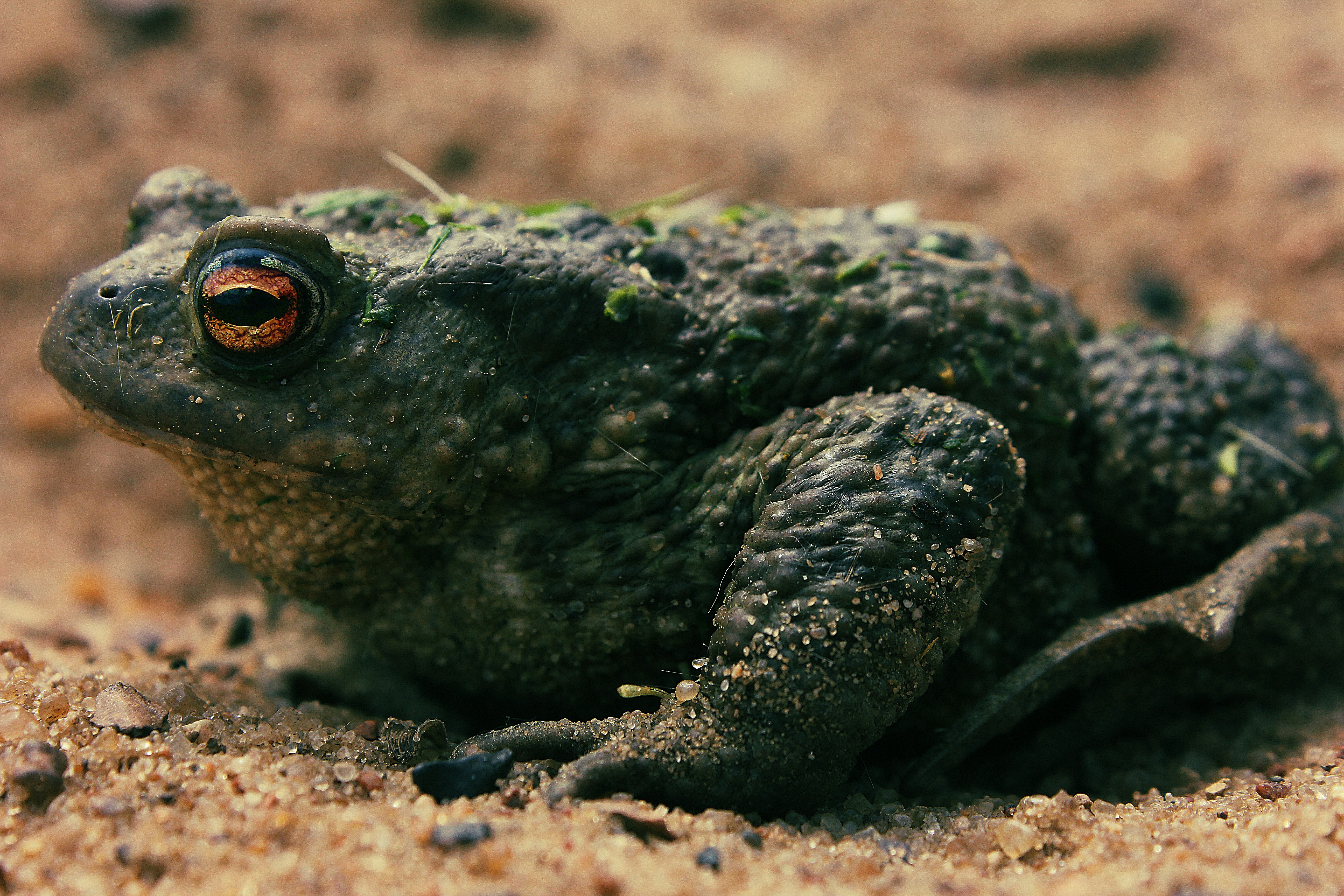 Free Unsplash photo from Boriskin Vladislav