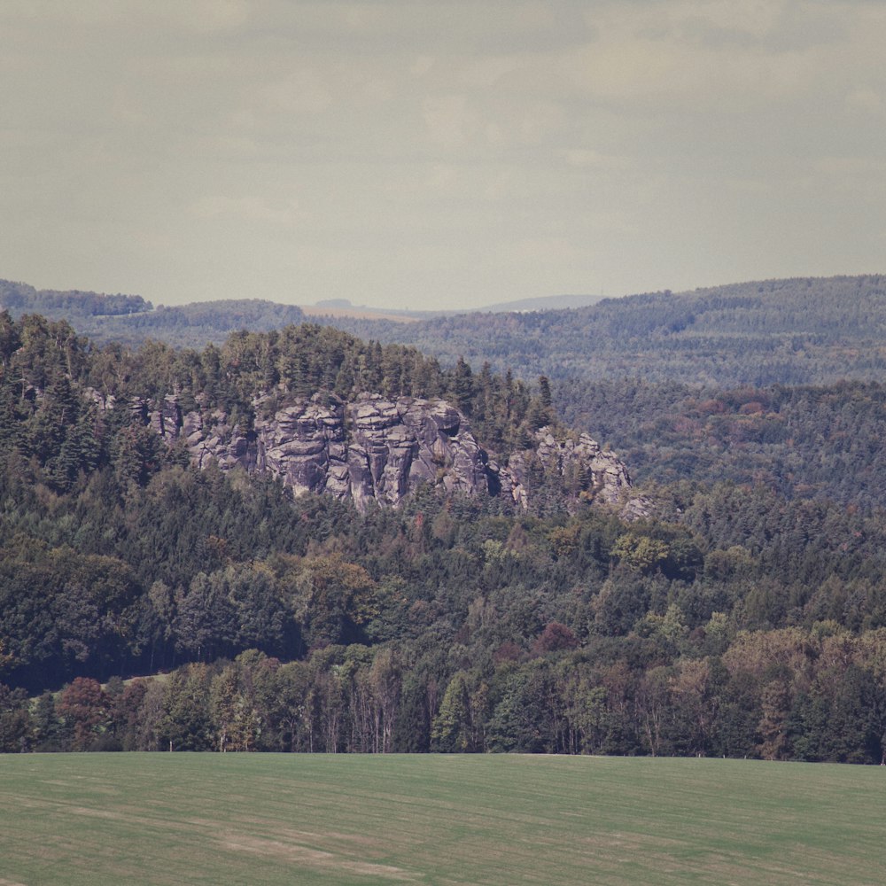 rocky clif near forest range