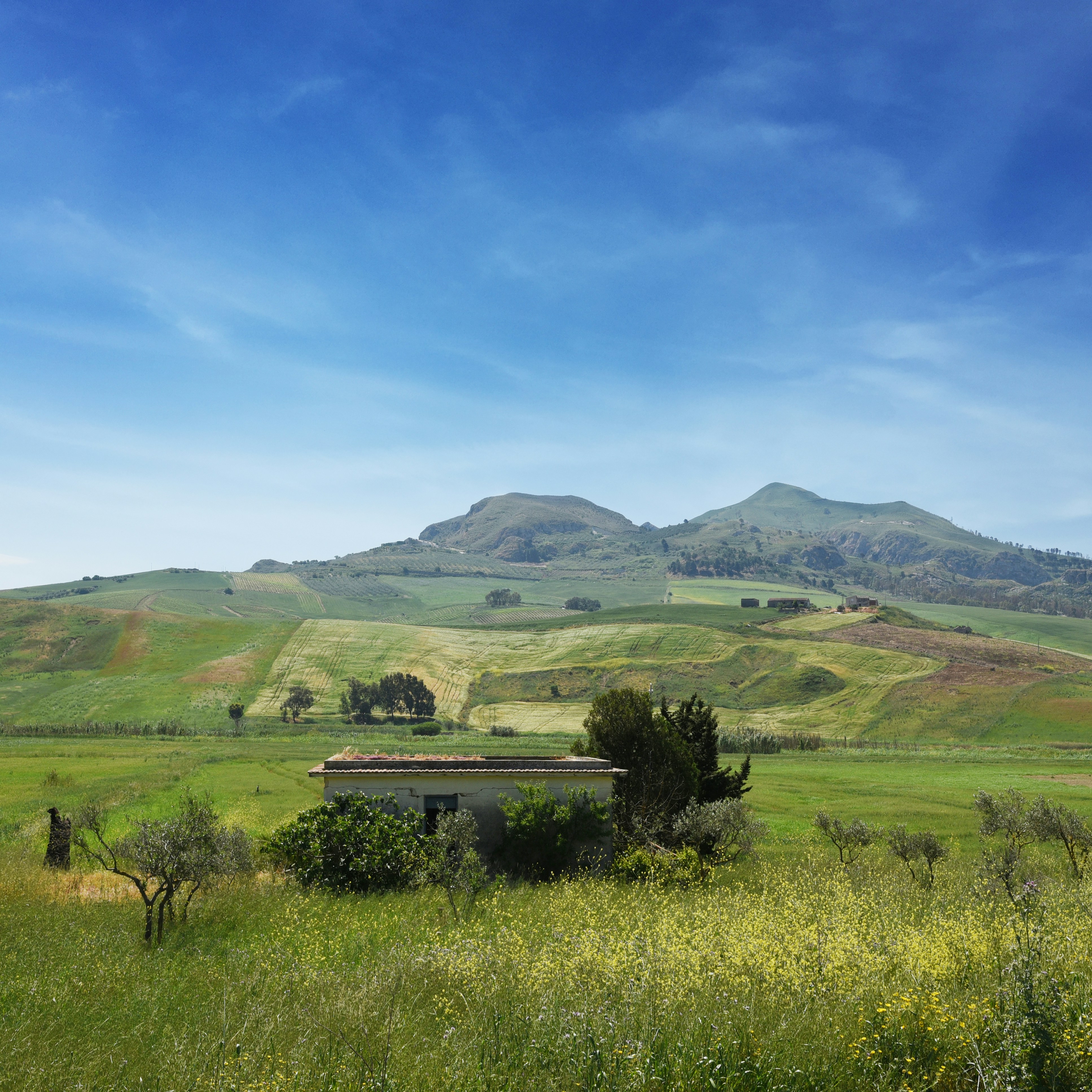 Free Unsplash photo from Genie  Austin