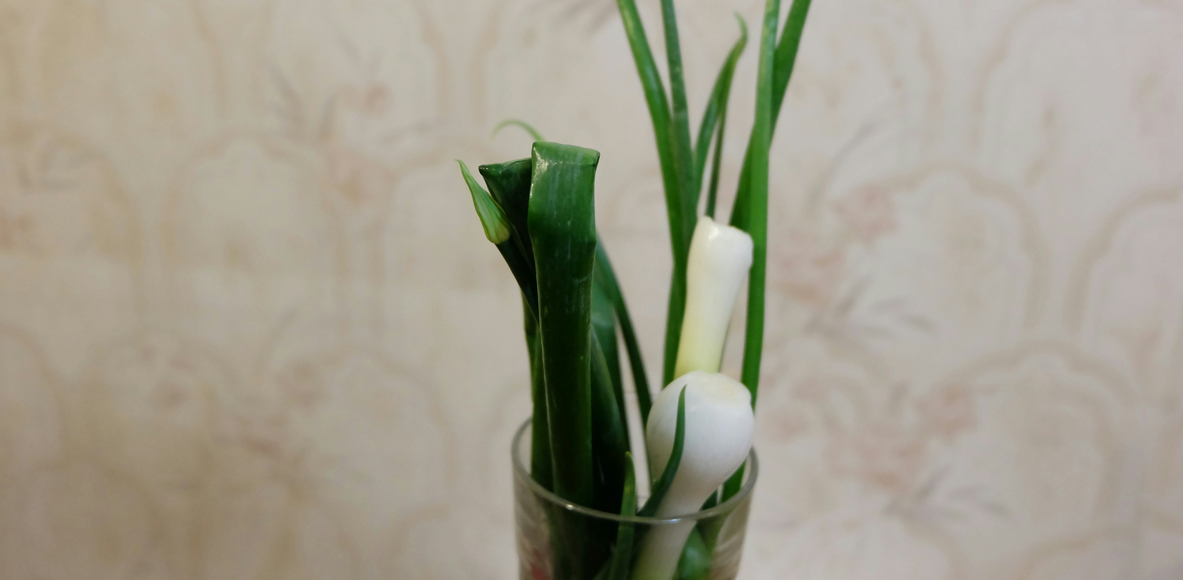 Free Unsplash photo from Pasha Gryniuk