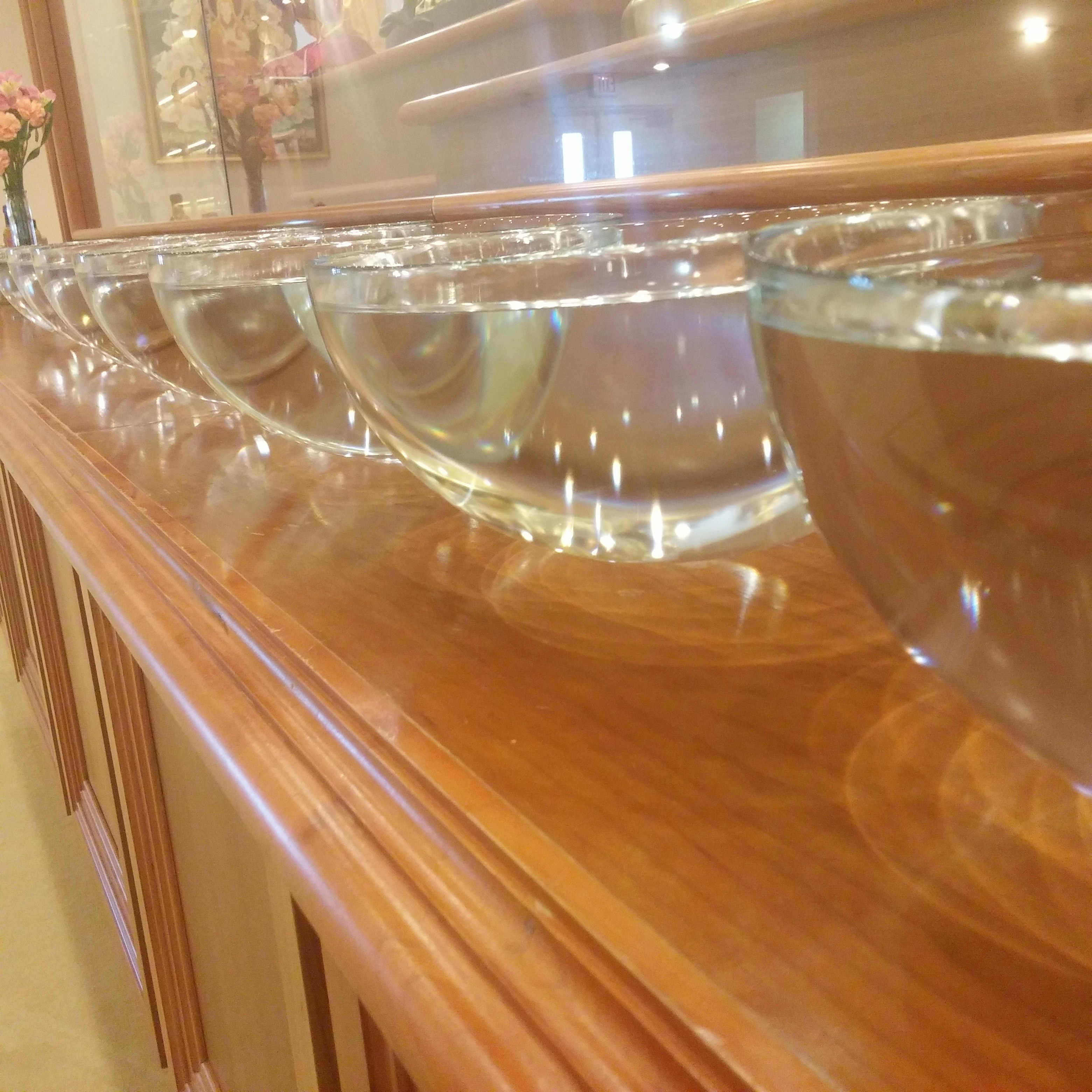 Free Unsplash photo from Melissa G