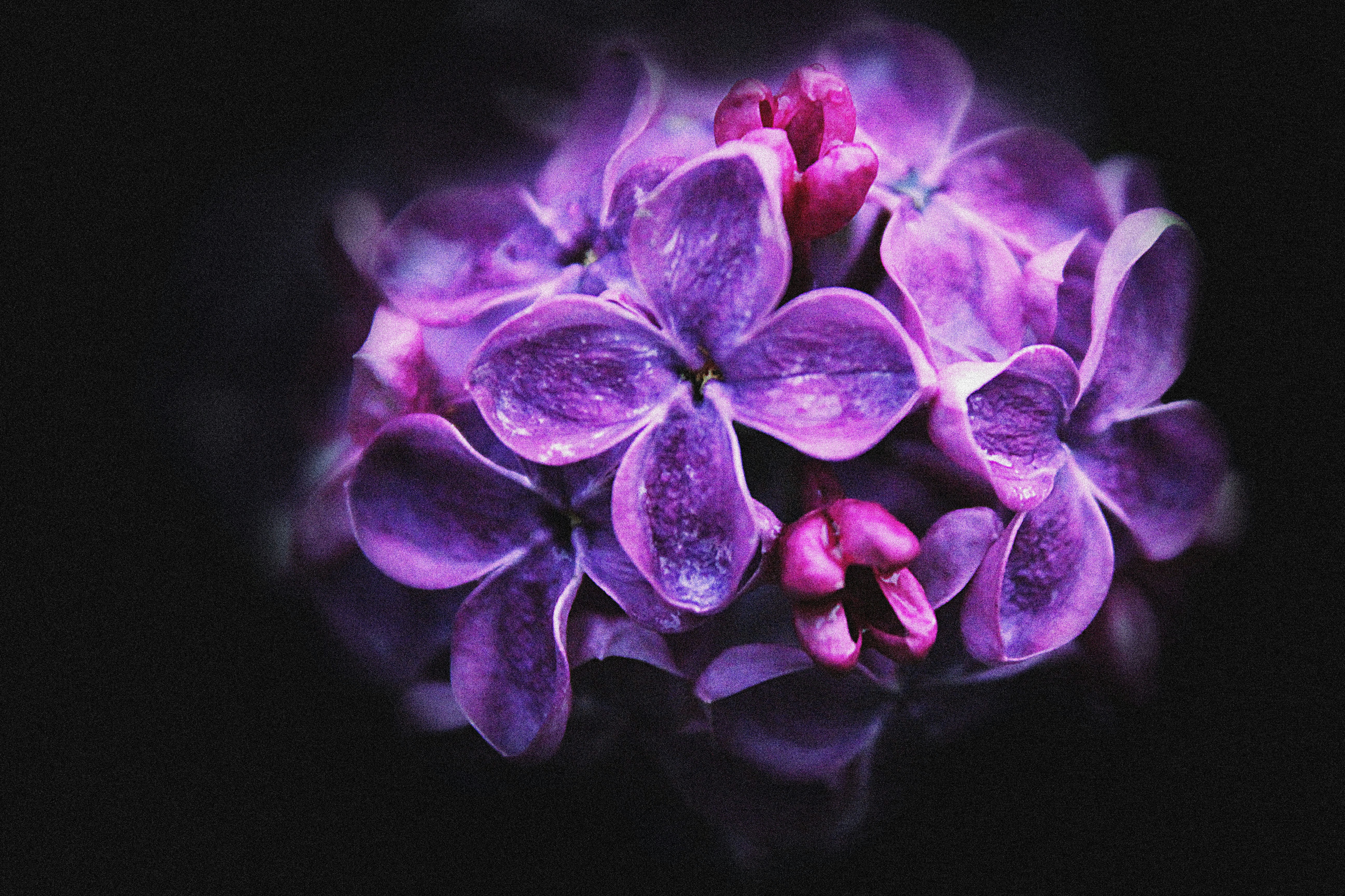 Free Unsplash photo from Boriskin Vladislav