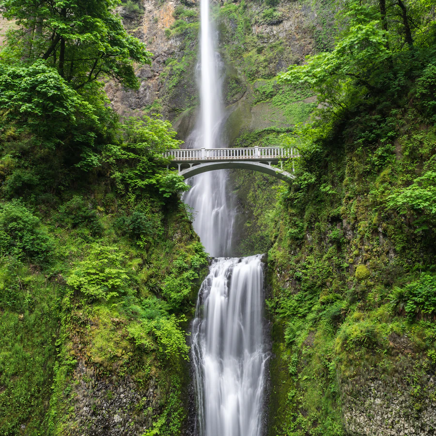 A square waterfall in a green canyon