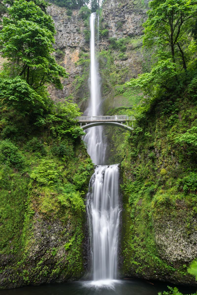 Cascade en forêt tropicale