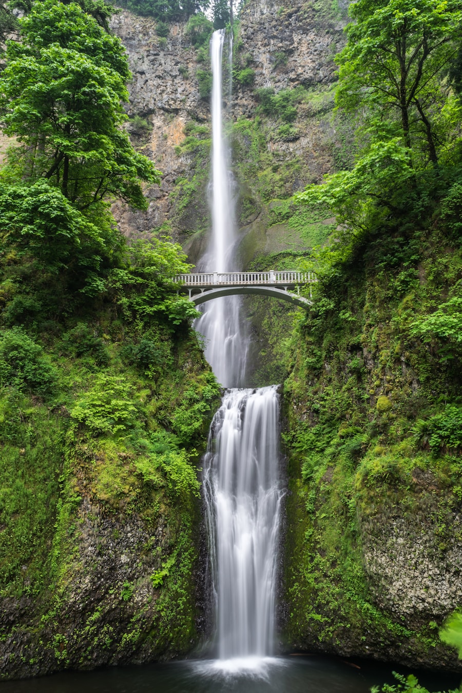 Waterfall in tropical forest