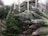 A collection of Christmas trees is stacked on a pavement, each wrapped in netting, ready for sale. Some trees stand upright with wooden supports, while others are piled on their sides. The setting appears to be an outdoor lot, possibly part of a market or store.