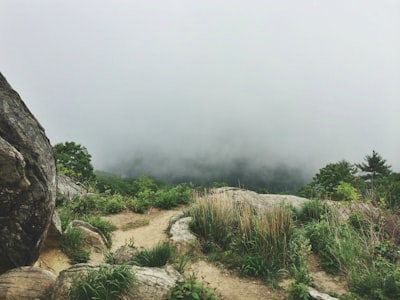 Alum Rock Park