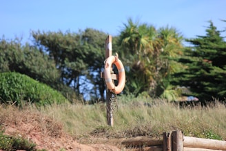A lifebuoy is mounted on a wooden post surrounded by lush greenery, including long grasses and trees. The setting suggests a natural or coastal area, with clear blue skies overhead.