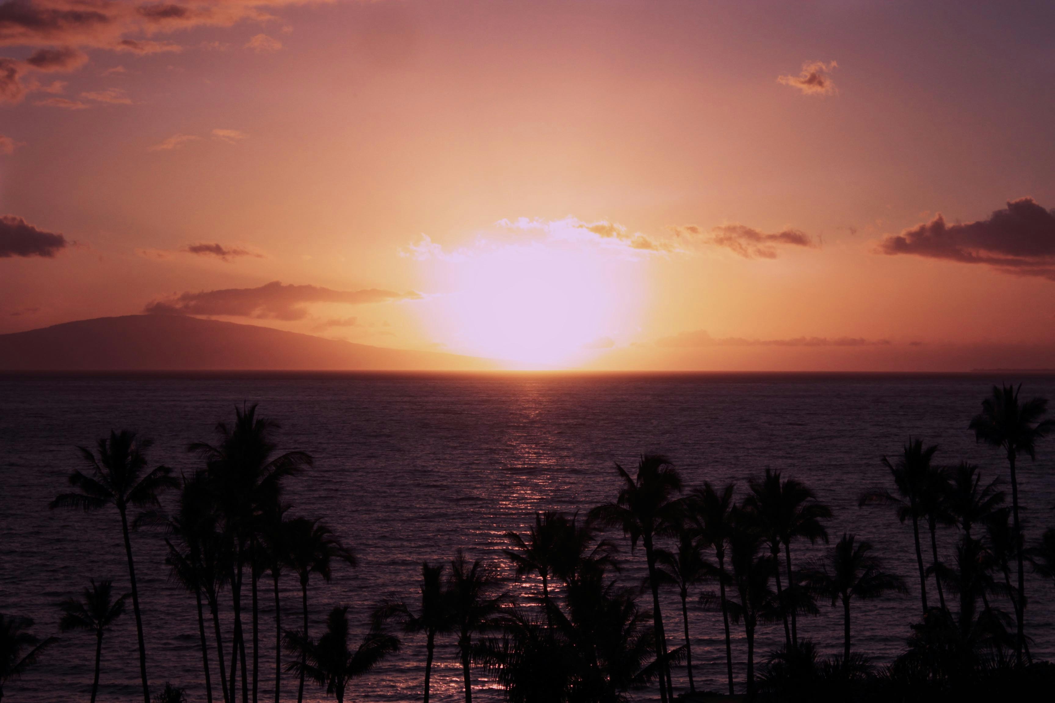 Free Unsplash photo from Alec Landon