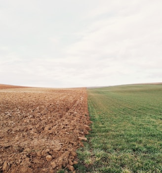 green grass field and brown soil