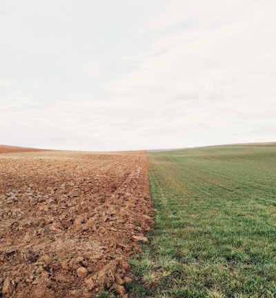 green grass field and brown soil