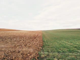 A freshly subdivided plot with clear boundary markers under a bright blue sky.