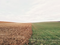 Trabalhamos com Gramas e Terras !