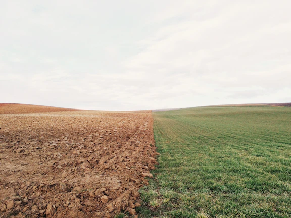 A freshly subdivided plot with clear boundary markers under a bright blue sky.