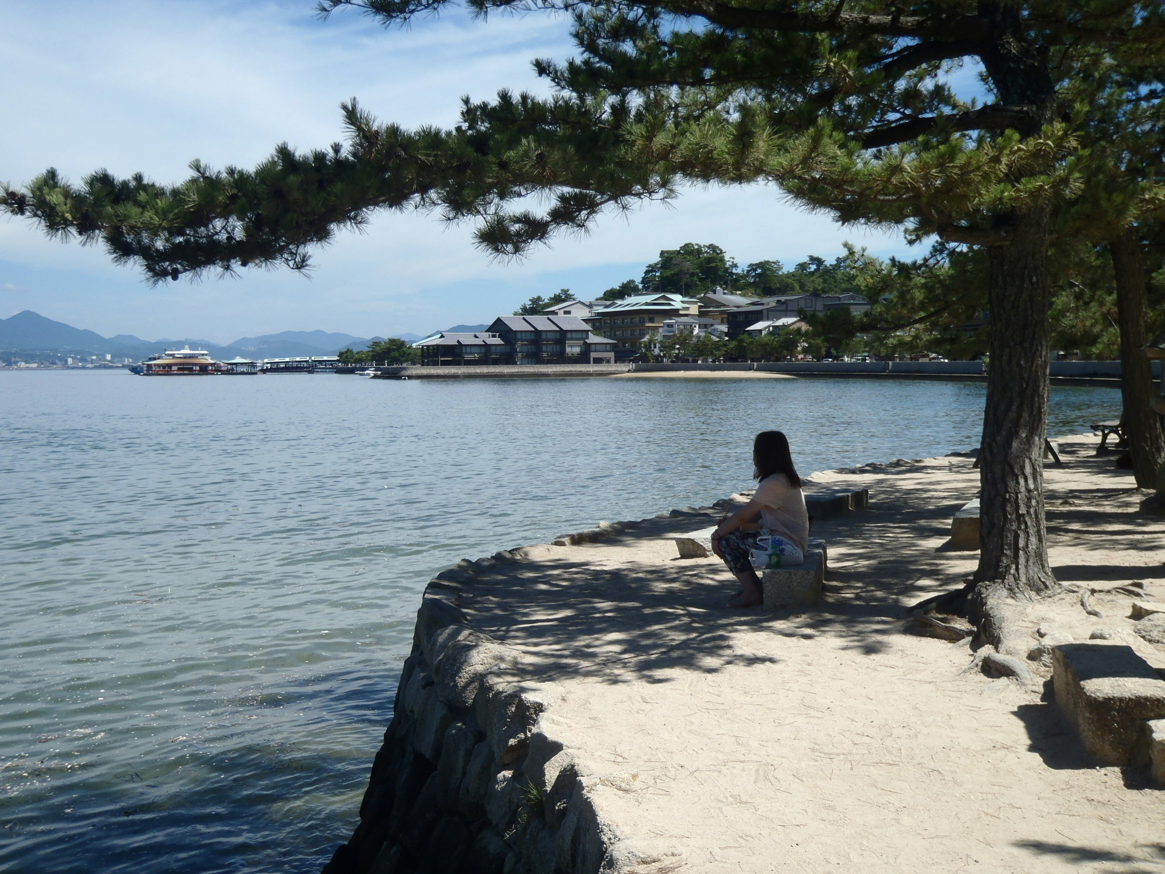 Free Unsplash photo from Scarper Montgomery