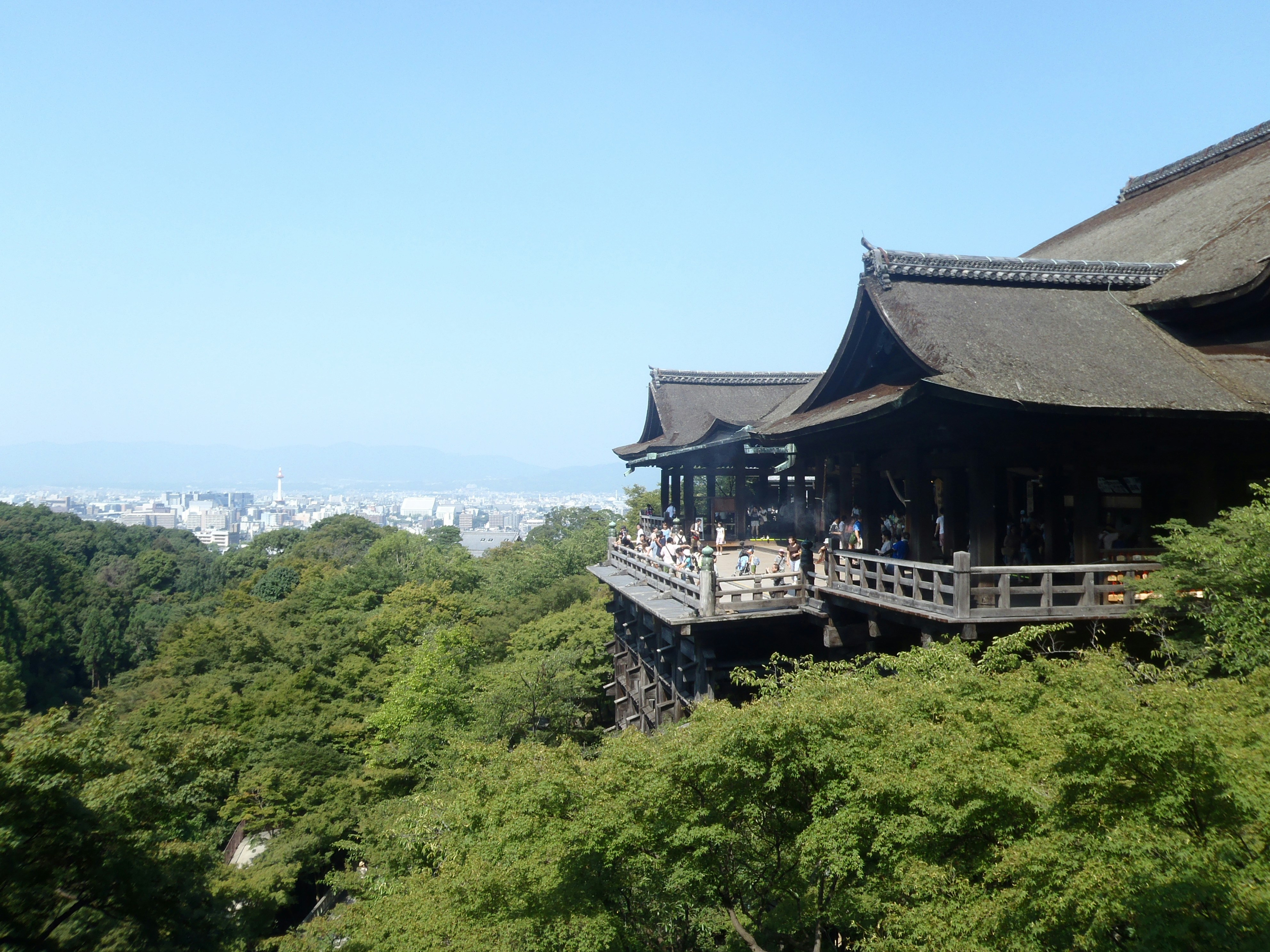 Free Unsplash photo from Scarper Montgomery