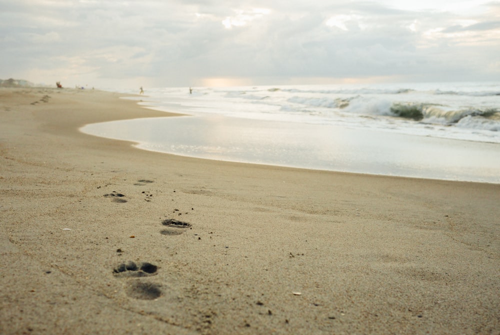 footprints on beach sand under cloudy sky