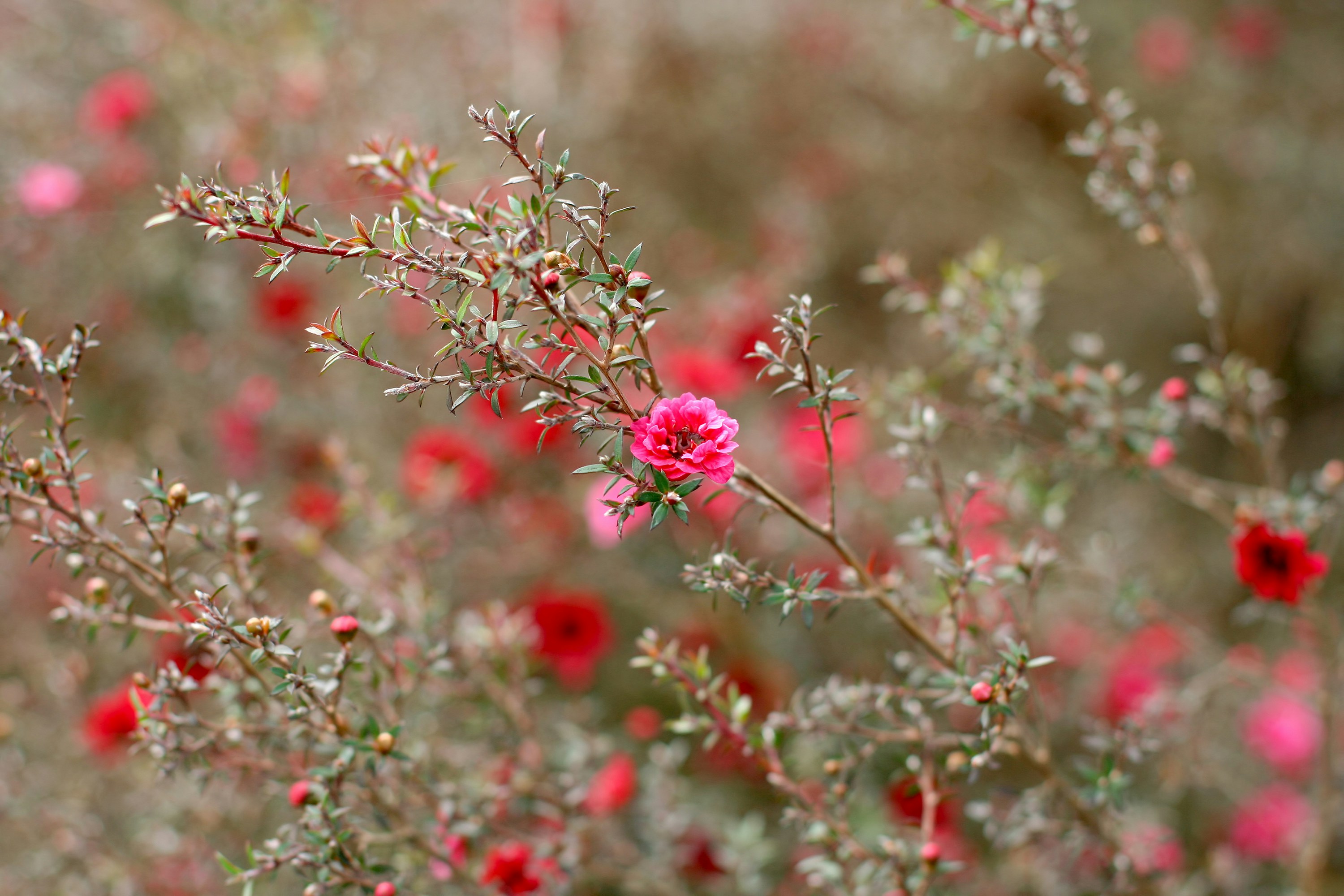 Free Unsplash photo from fraty Tseng