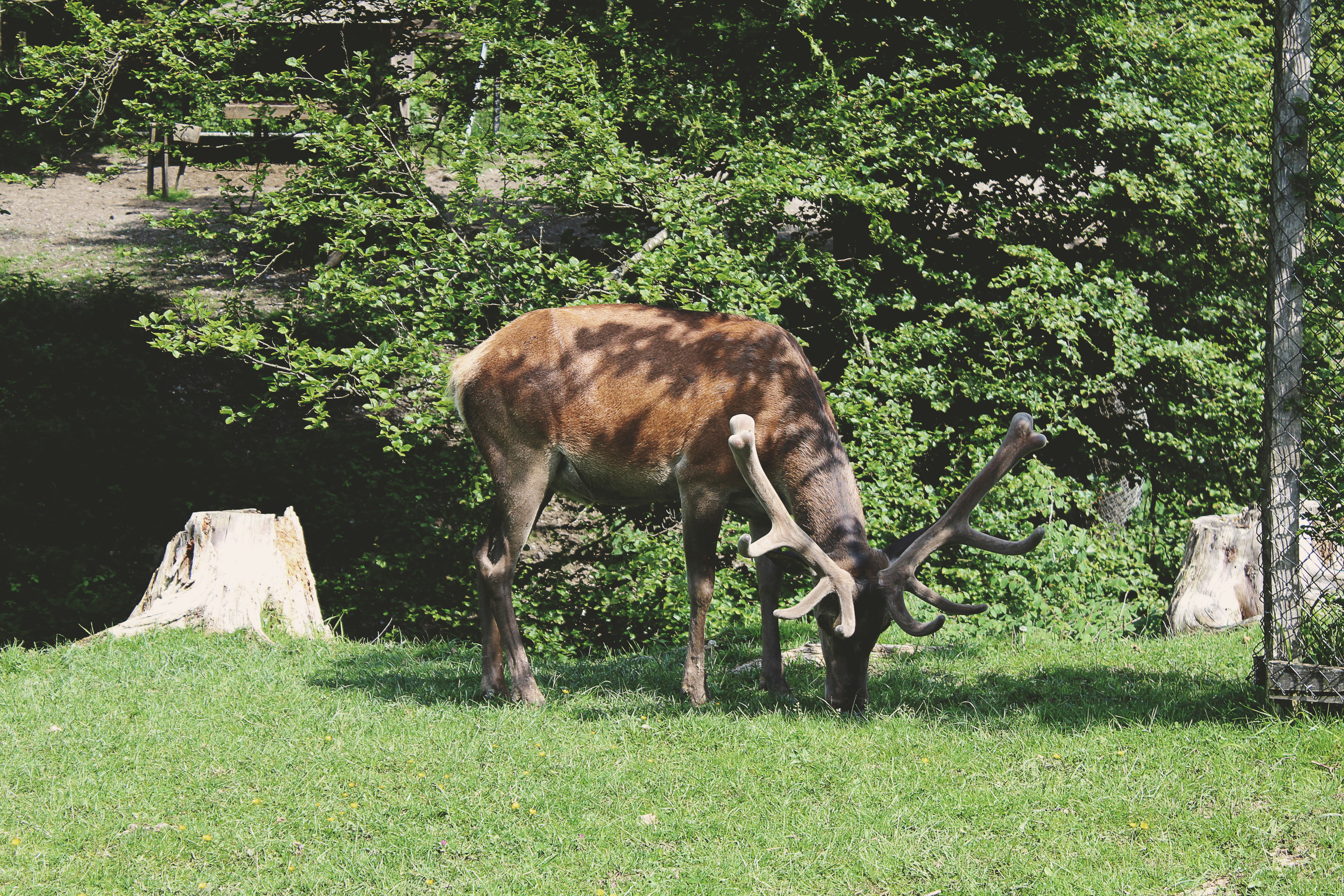 Free Unsplash photo from Susy Drake