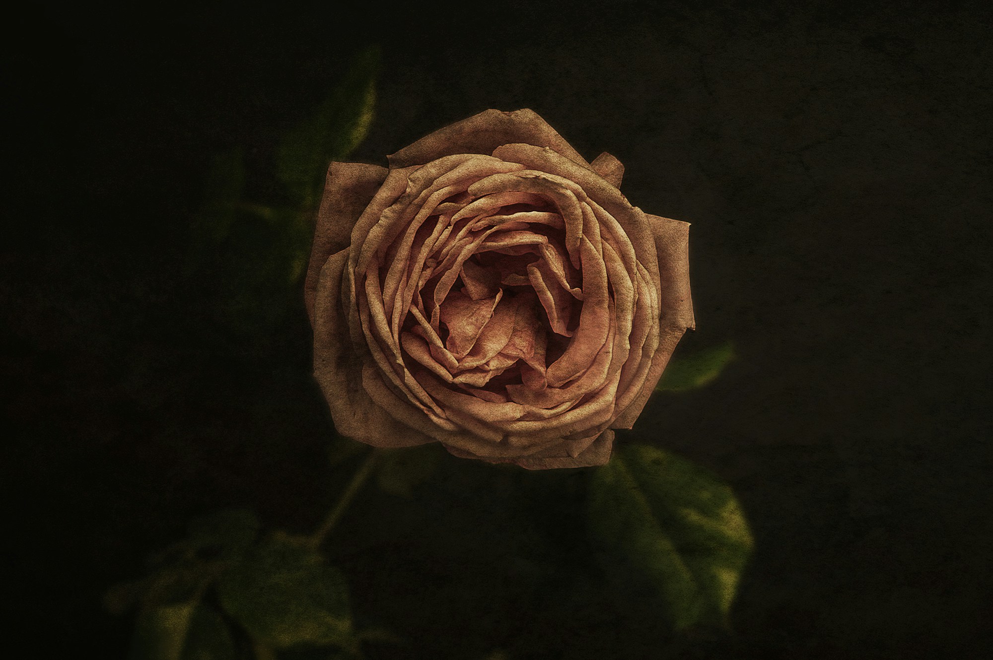 Free Unsplash photo from Andrea Pol