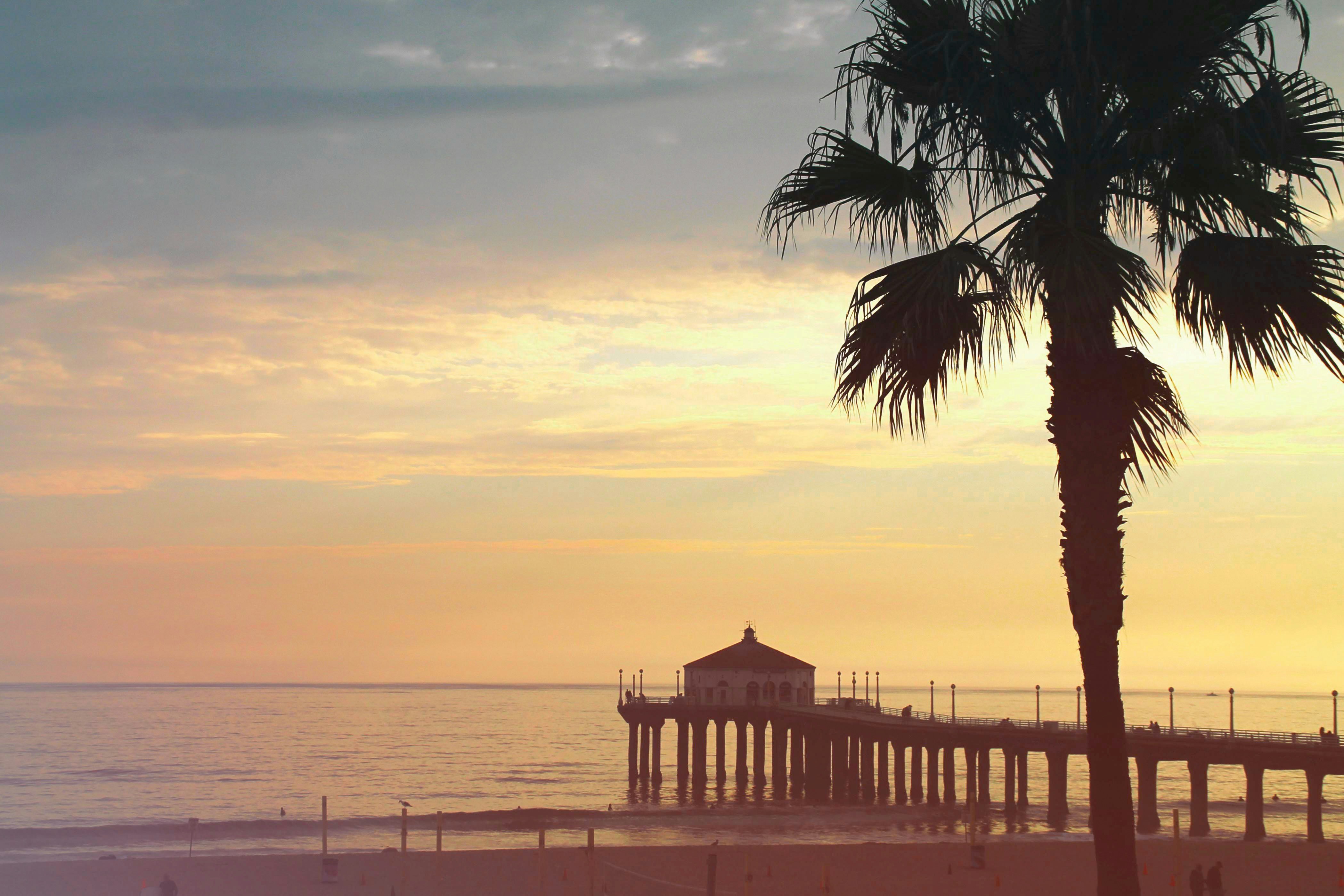 Free Unsplash photo from Nicolai  Dürbaum