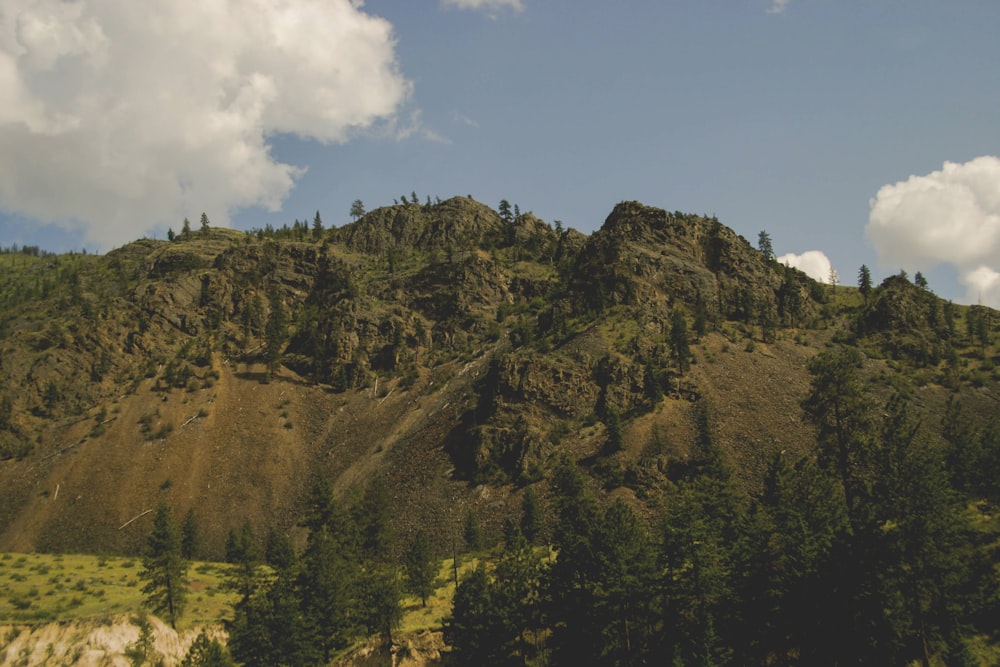 fotografia di paesaggio di montagna con alberi