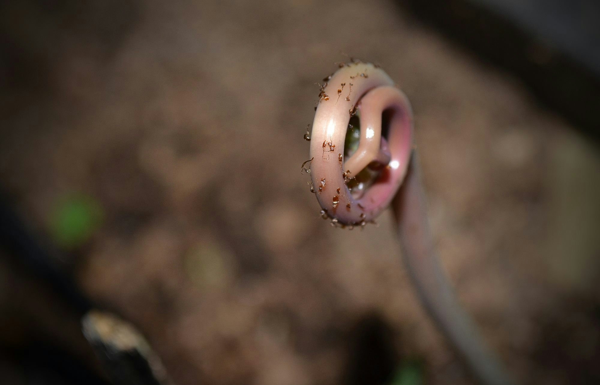 Free Unsplash photo from RICARDO RESENDE