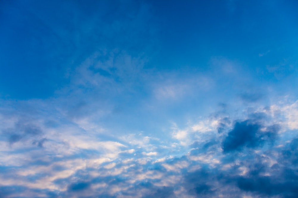 blue sky during daytime