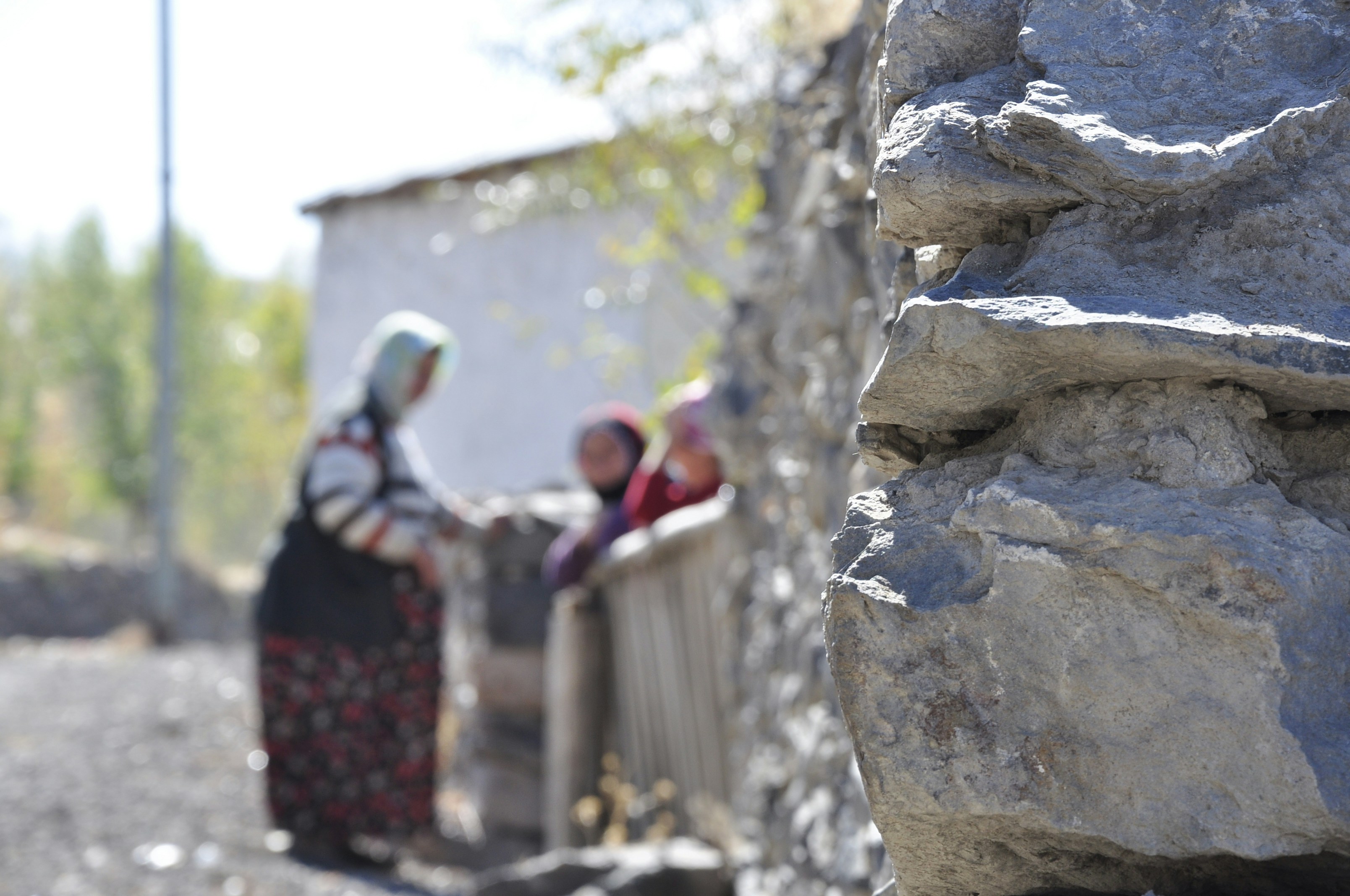 Free Unsplash photo from Rupen Janbazian