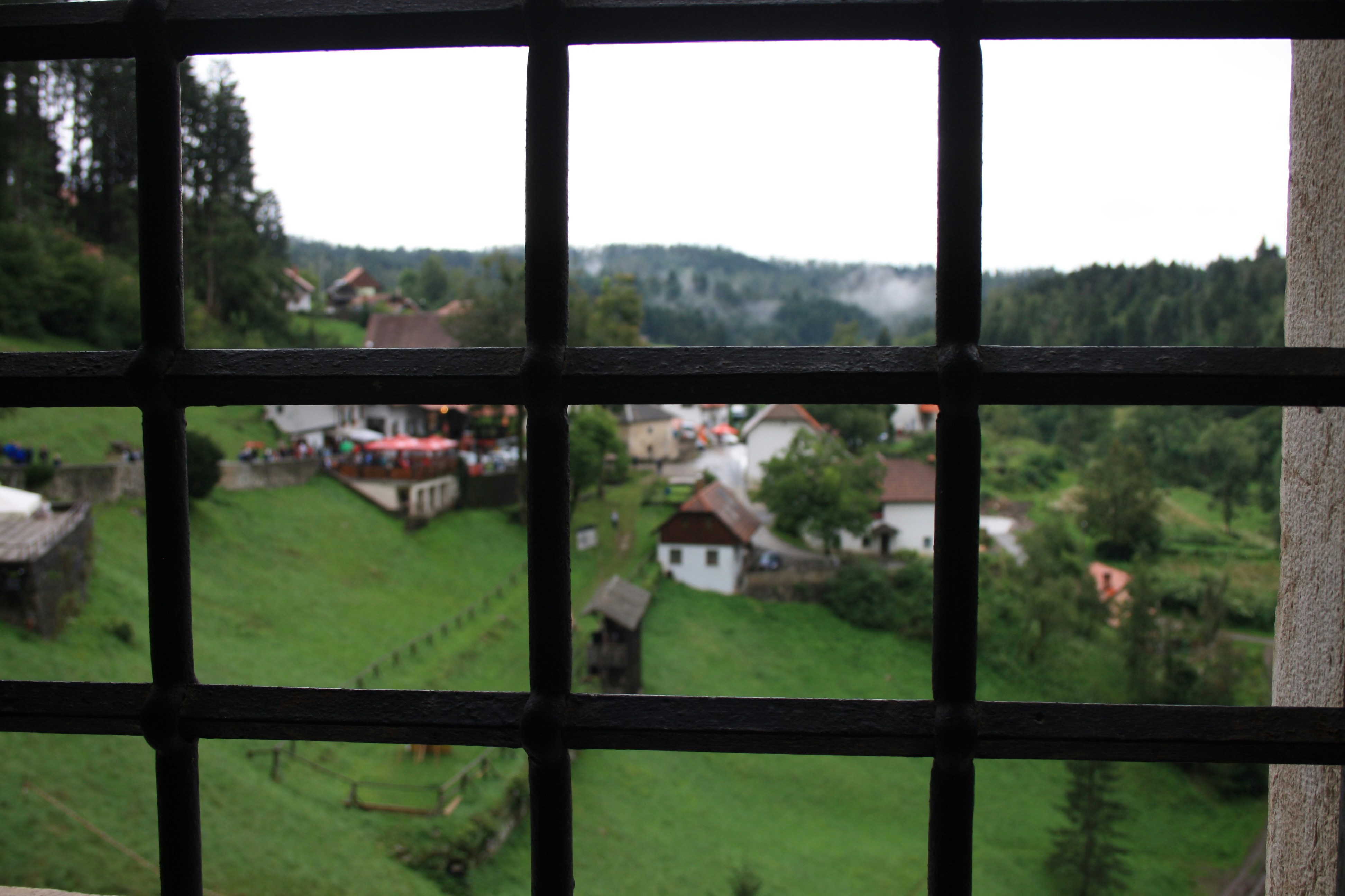 Free Unsplash photo from Cristina Cavallari