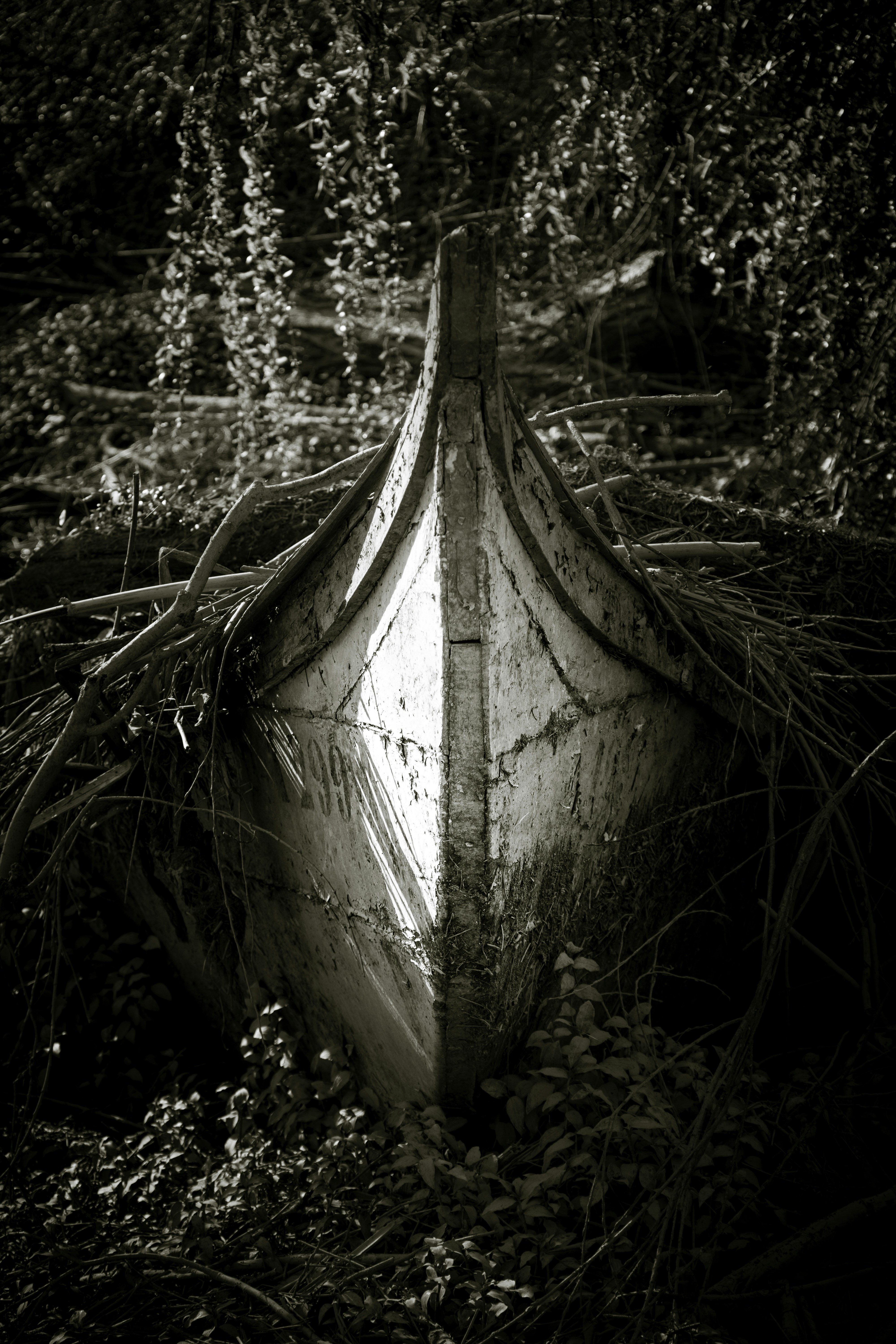 Free Unsplash photo from Luís Perdigão