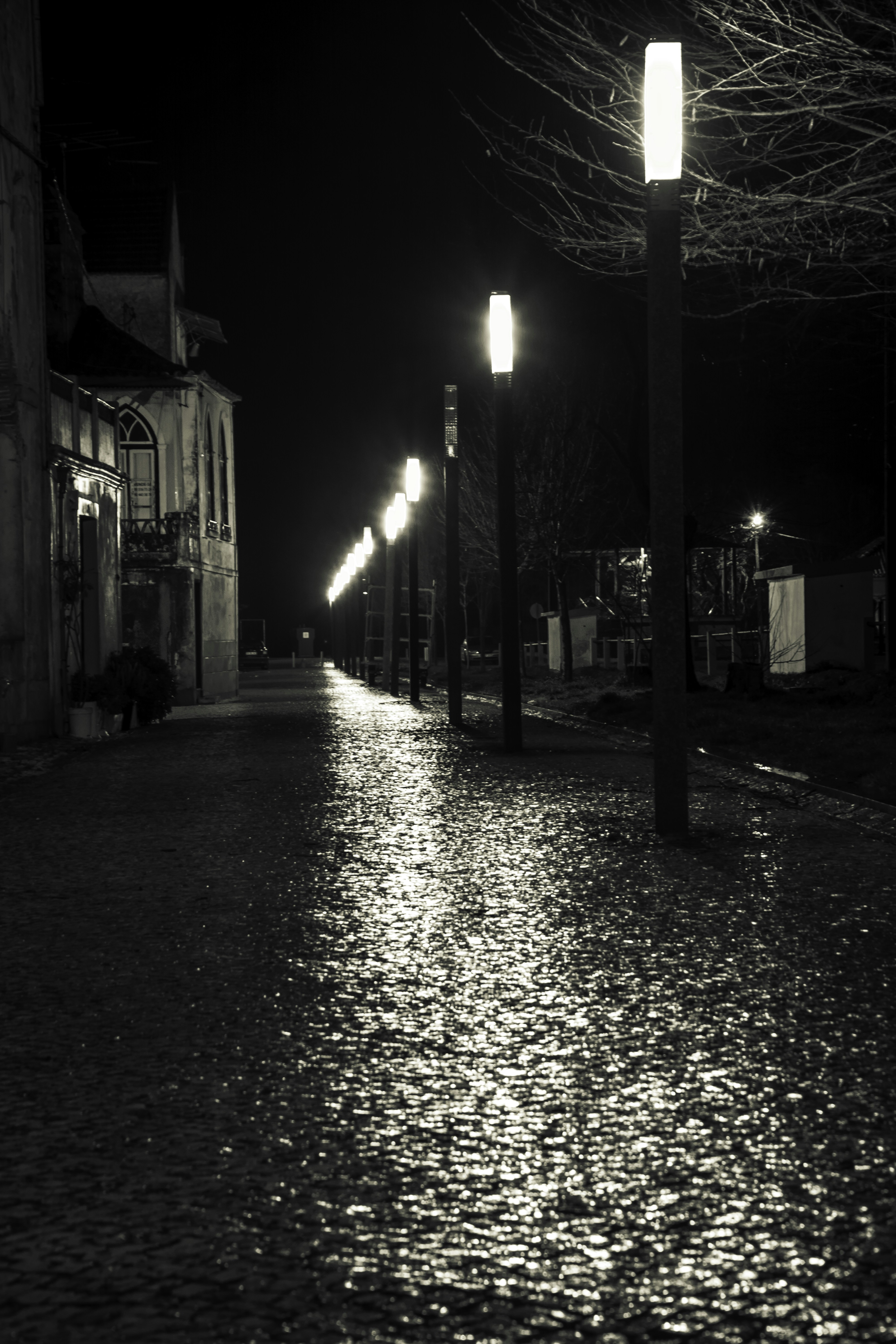 Free Unsplash photo from Luís Perdigão