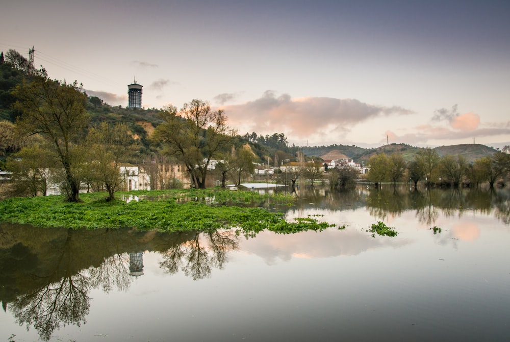 lake near houses