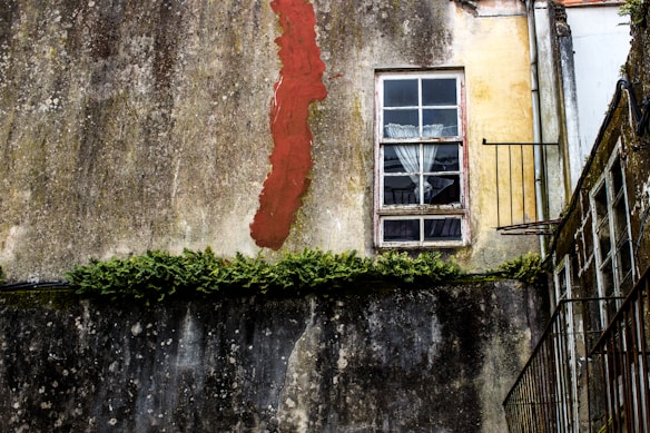 A weathered exterior wall of a building with a vertical patch of red paint. The wall features an old, wooden-framed window with sheer white curtains. Below the window, a narrow ledge hosts a small row of green plants. The right side of the image shows a metal railing, hinting at a staircase or fire escape.